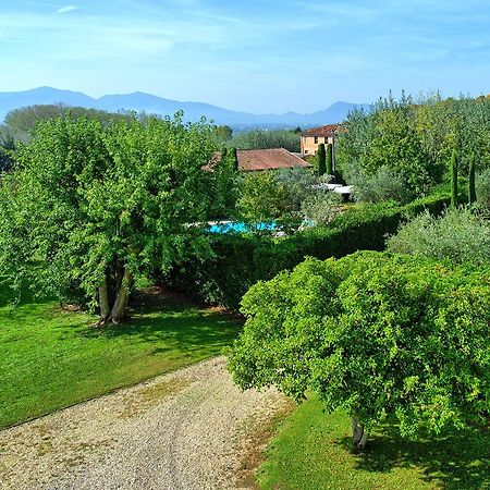 Villa Fiamma By Posarellivillas Piaggiori Eksteriør billede